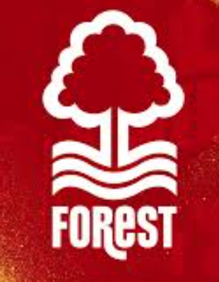 Red football casual graphic tee design with stylized tree logo and 'Forest' text
