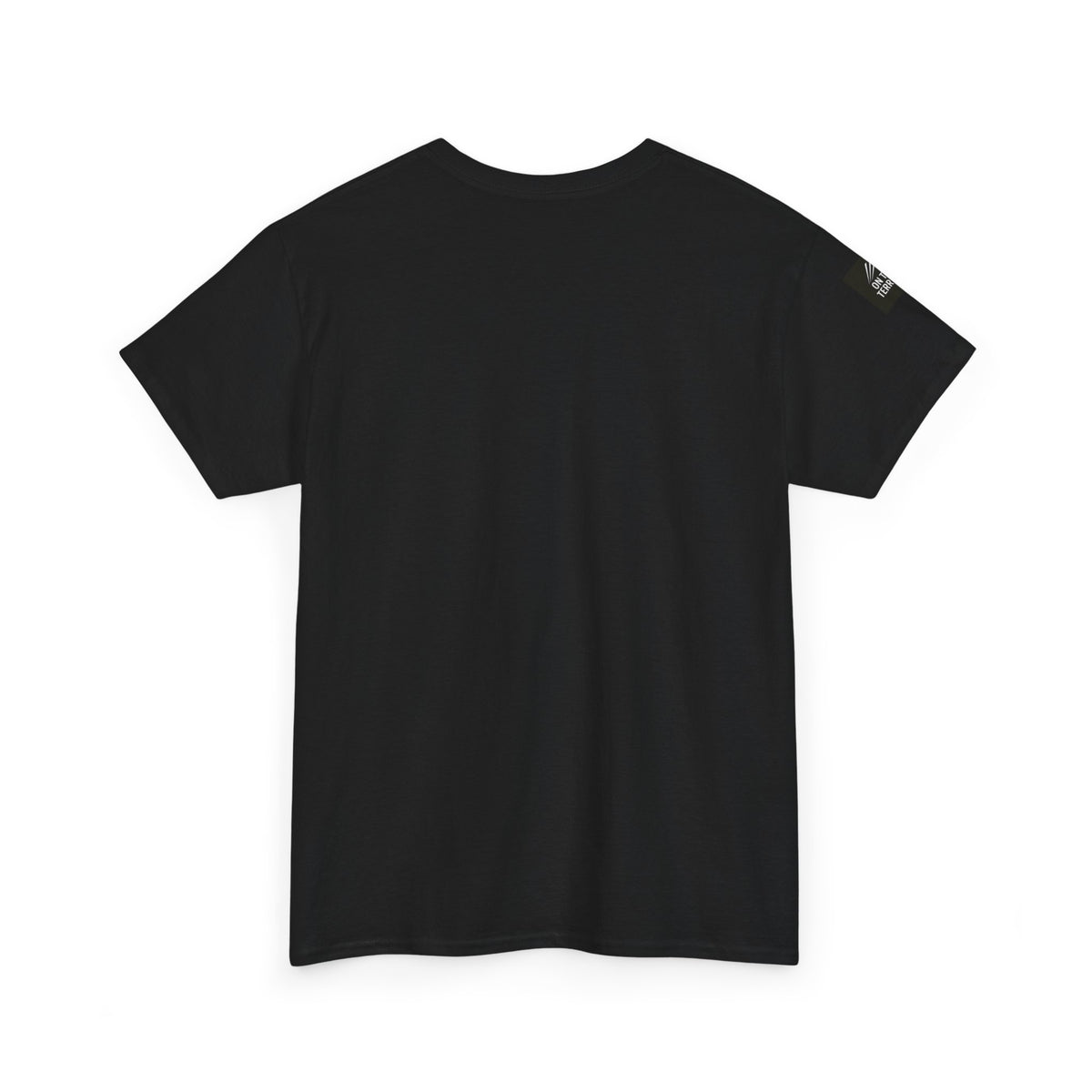 Gray t-shirt with a mountain logo on the back against a white background