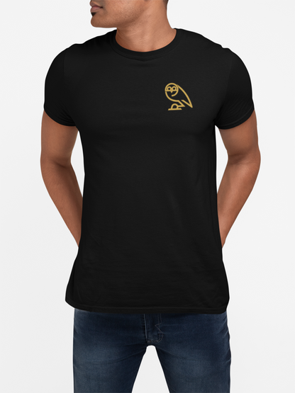 Sheffield Wednesday-inspired Retro Owl T-shirt design