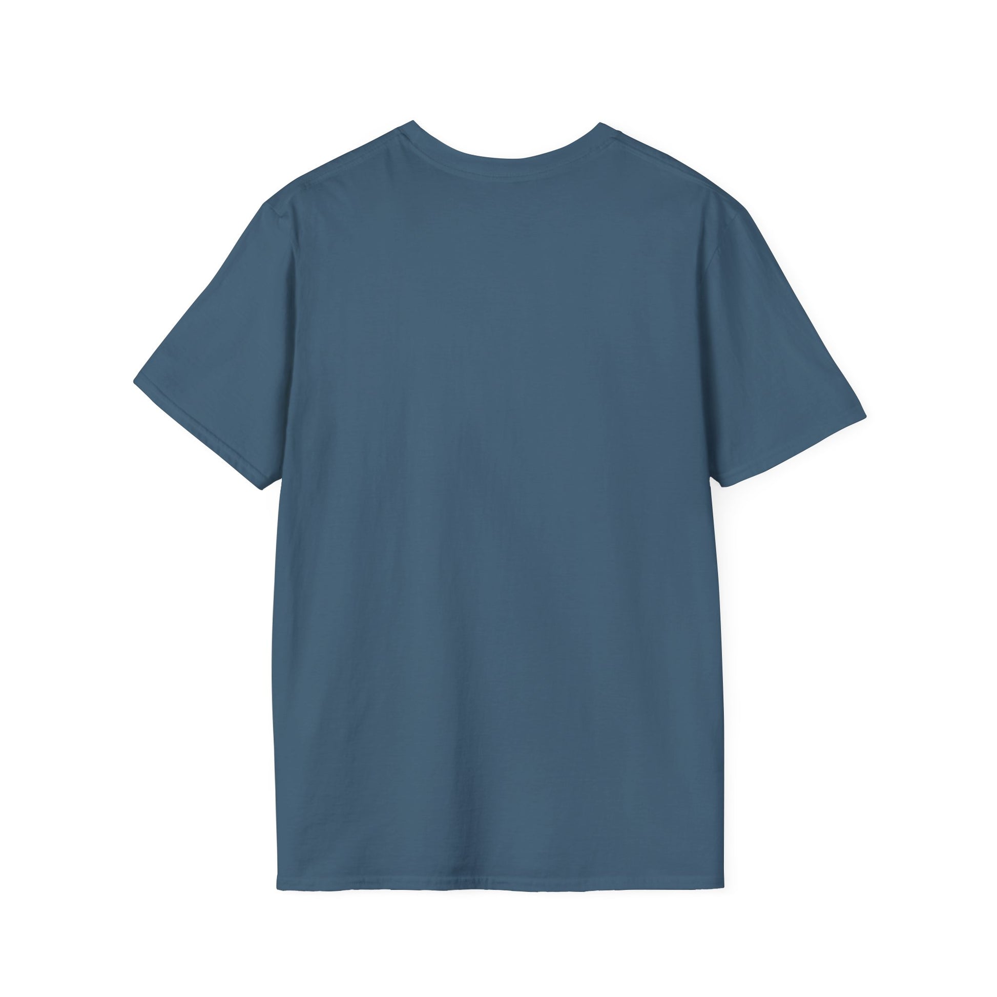 Back view of plain blue short-sleeve cotton T-shirt on white background