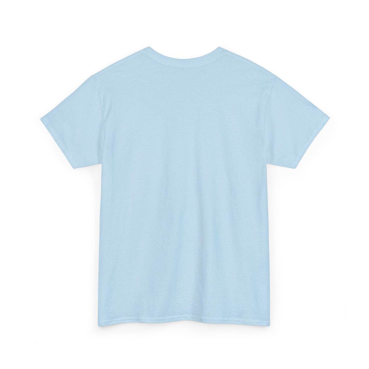 Sky blue Coventry Monkeys Duo T-shirt, alternative view