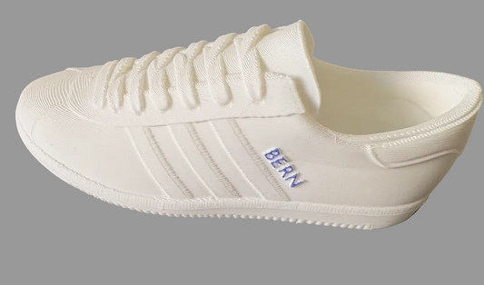 Adidas Bern – 5" 3D Printed DIY Model