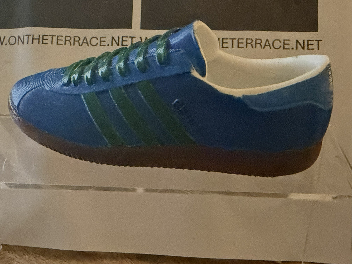 Painted 120 mm Bern inspired 3D trainer model, blue with dark green stripes and laces and gum sole, side view