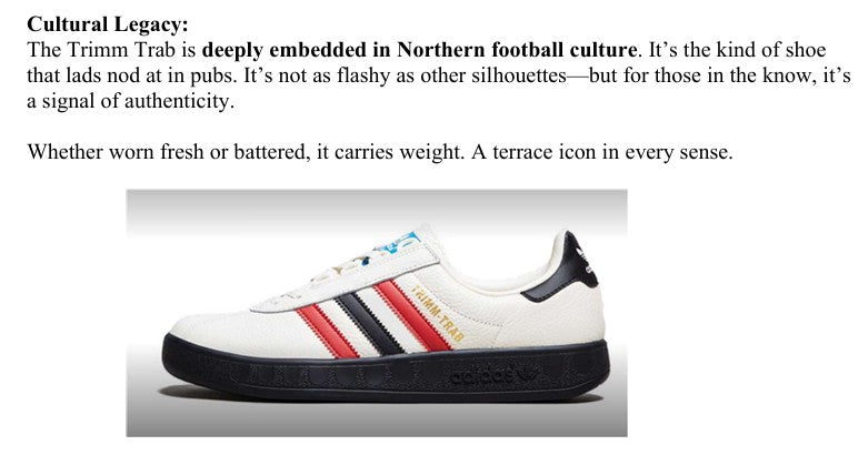 Adidas on the Terrace book spread - retro trainer photography and history