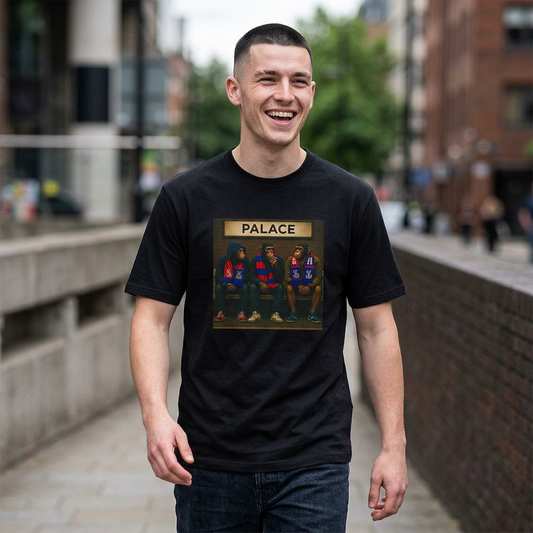 crystal palace fans t-shirt